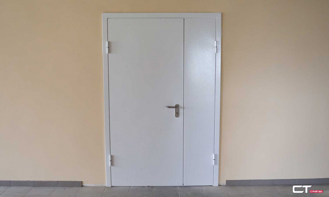 Дверь двупольная металлическая 