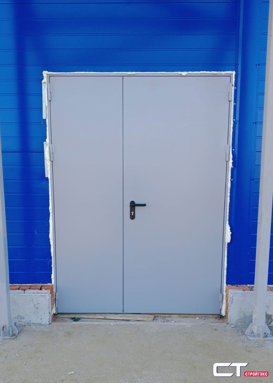 Дверь противопожарная металлическая EIS60 двупольная глухая 1500х2100